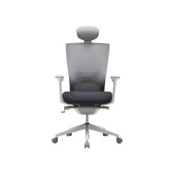 Iloom I-fit Chair(Headrest, Lumber Support) Dark Gray