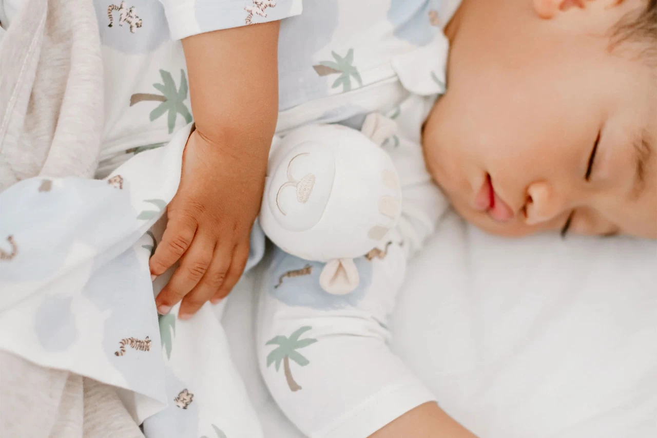 Nest Designs Snugz Lovey Tortoise & Hare - Image 2