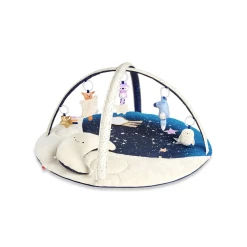 Skip Hop Celestial Dreams Activity Gym
